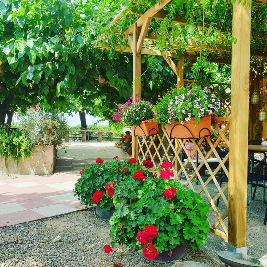 Masia Castellvi B&B Винольс-и-Арчс Экстерьер фото